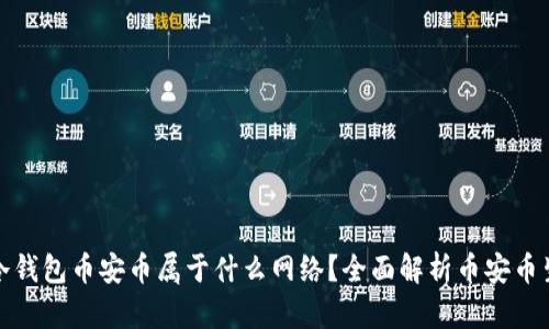 tp冷钱包币安币属于什么网络？全面解析币安币生态